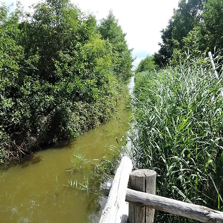 Lakeside Agritourism Retreat In Ko Czewo 度假居 *