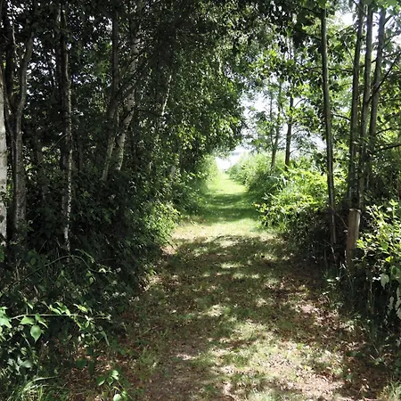 度假居 Lakeside Agritourism Retreat In Ko Czewo *